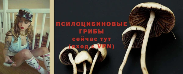 СК Абинск