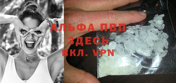 spice Алзамай